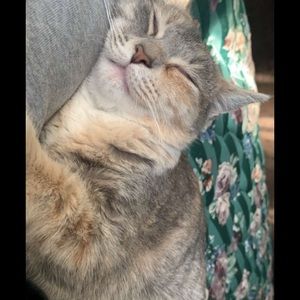 Meet your Posher, Leticia